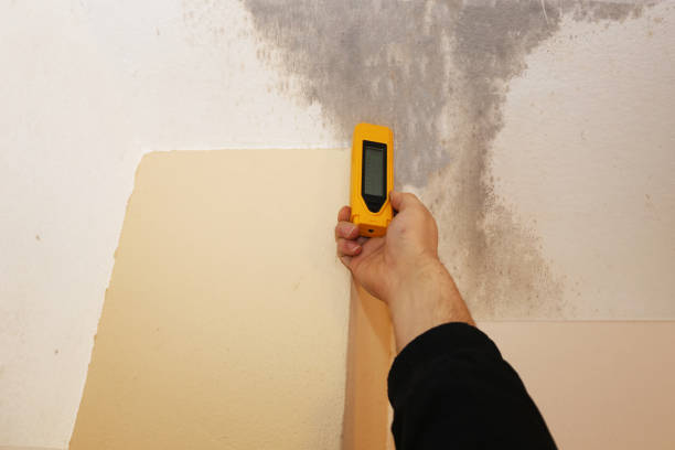 Best Asbestos and Lead Testing During Mold Inspection  in Citrus Hills, FL