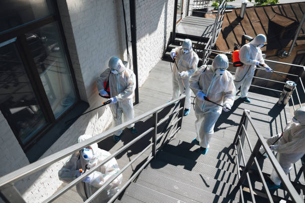 Best Mold Remediation for Vacation Homes  in Citrus Hills, FL