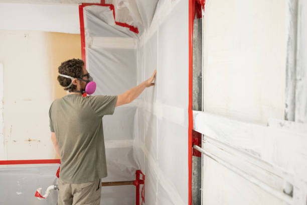 Best Comprehensive Air Testing for Mold Contaminants  in Citrus Hills, FL