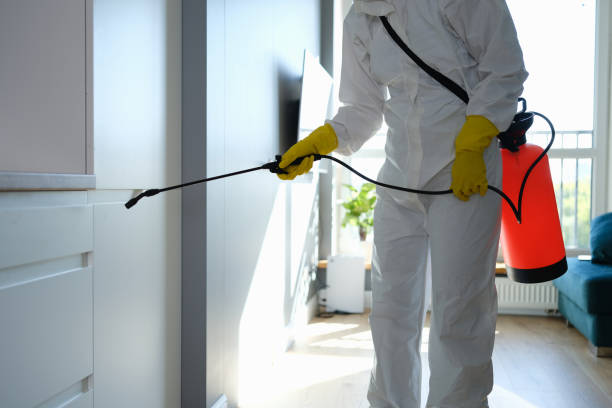 Best Attic Mold Removal  in Citrus Hills, FL
