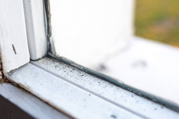 Best Residential Mold Inspection & Testing  in Citrus Hills, FL