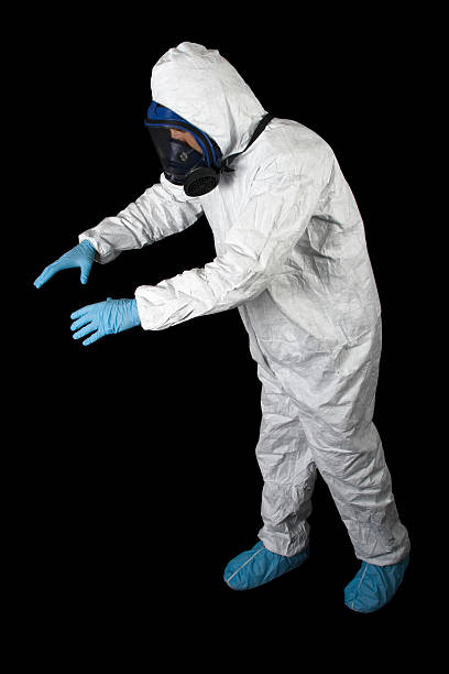 Best Basement Mold Removal  in Citrus Hills, FL