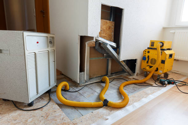 Best Black Mold Removal  in Citrus Hills, FL