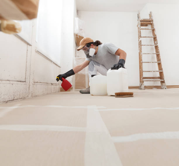 Citrus Hills, FL Mold Removal Company