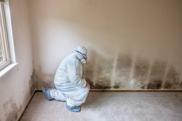 Best Airborne Mold Testing  in Citrus Hills, FL